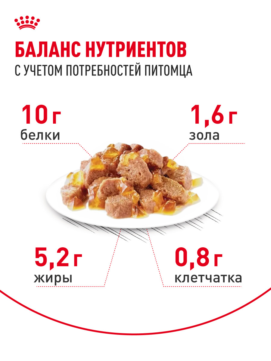 Корм для кошек ROYAL CANIN Ageing 85гр для пожилых 12+ в соусе пауч - фото 4