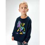 Свитшот Acoola