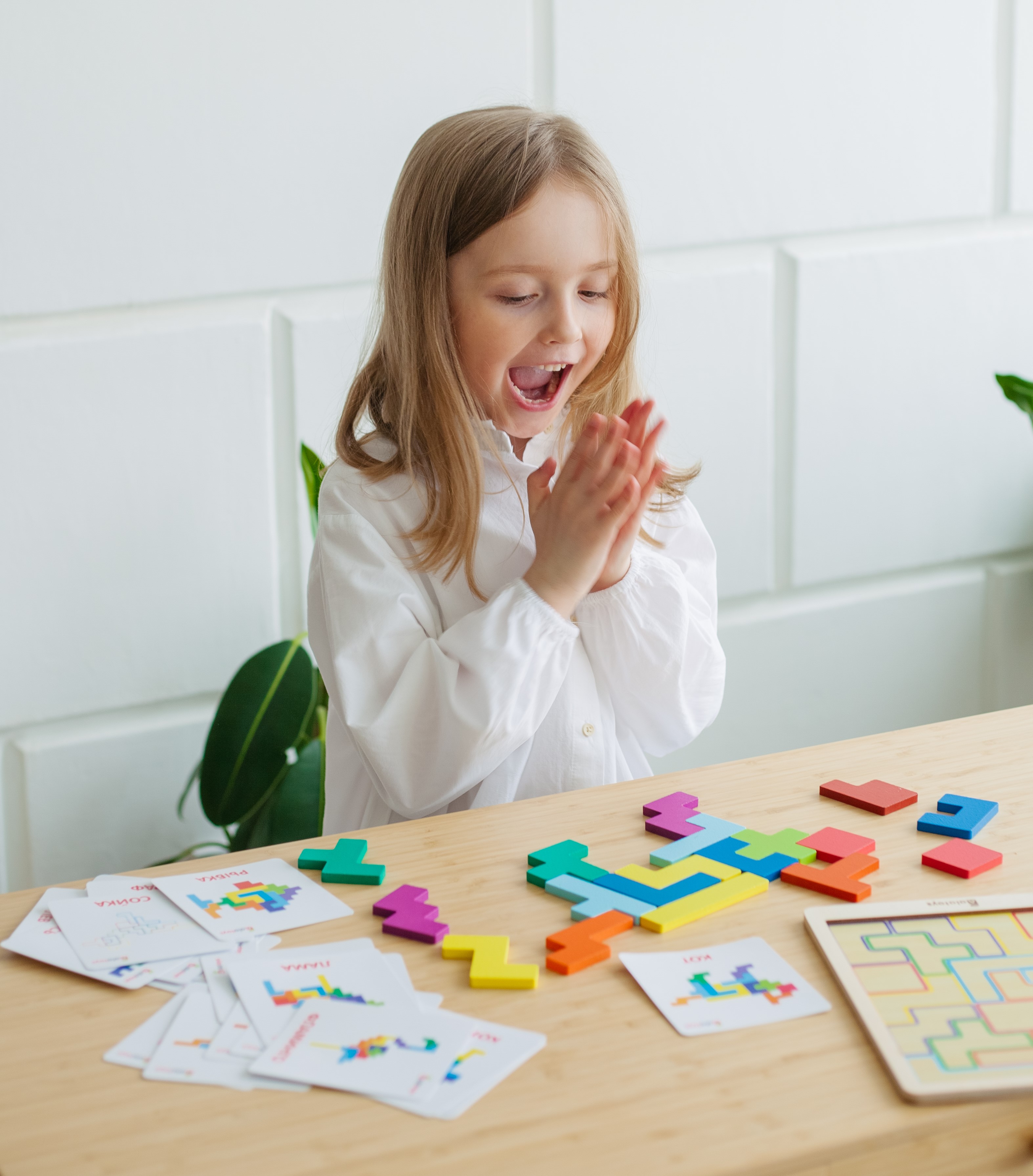 Настольная игра Alatoys Танграм - фото 11