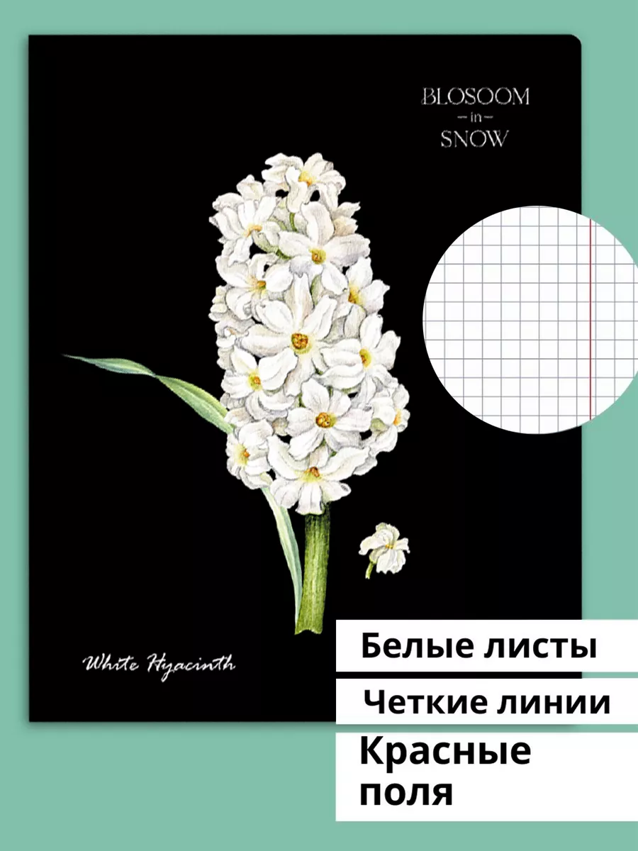 Тетрадь BG клетка 48 лист. 4 шт. - фото 2