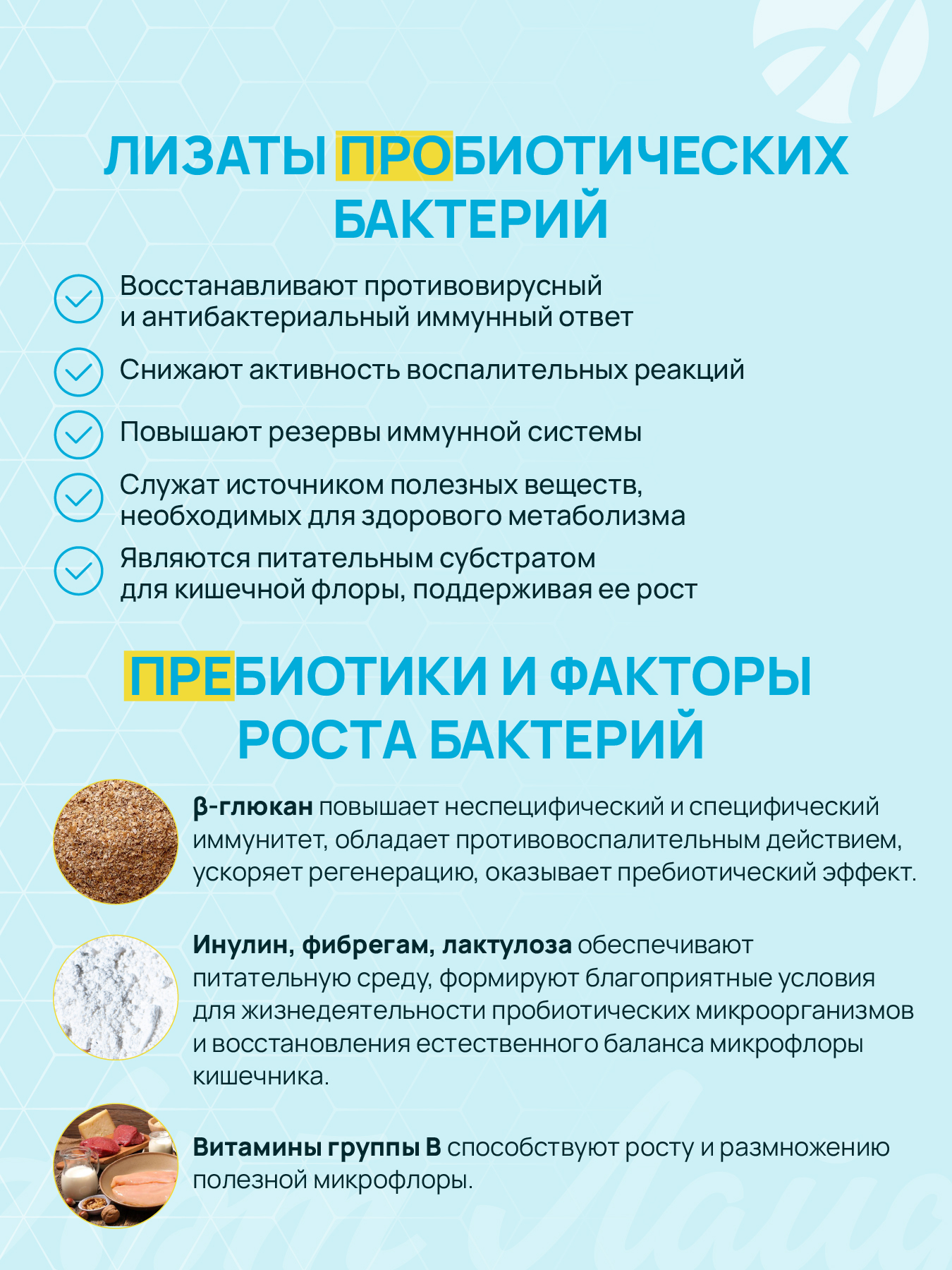 Art Life Панбиолакт Кидс, 60 капсул. Арт Лайф Формирование и восстановление микробиоценоза кишечника у детей. - фото 6