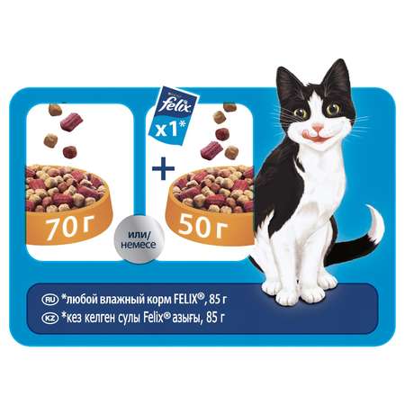Корм для кошек Felix Двойная вкуснятина птица 750г