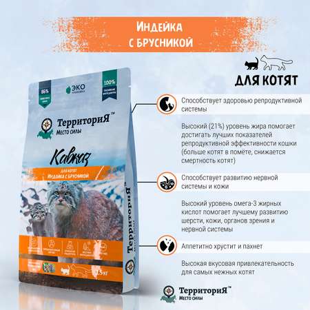 Корм для котят Территория Кавказ 1.5кг индейка-брусника сухой