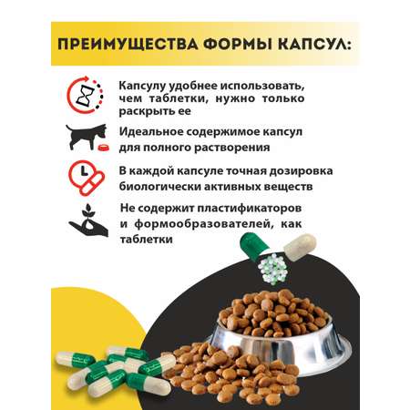 Витаминный комплекс ALTAI ANIMAL для собак Зоркий взгляд для глаз