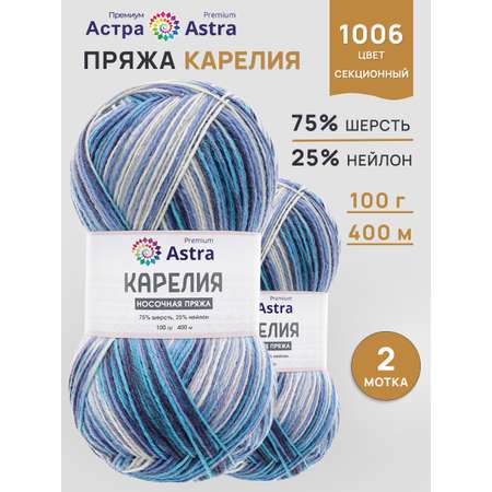 Пряжа для вязания Astra Premium карелия носочная шерсть нейлон 100 гр 400 м цвет 1006 2 мотка