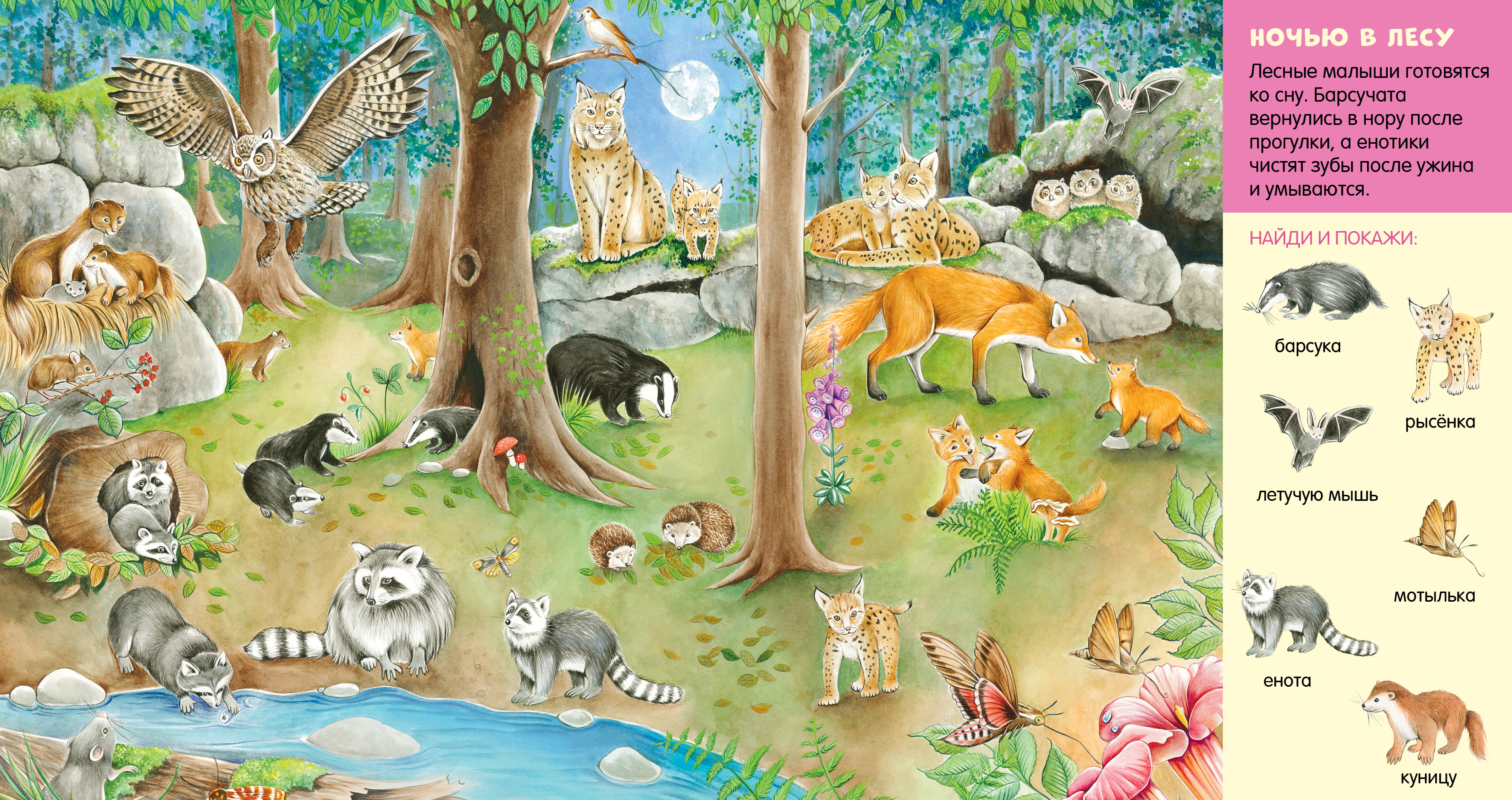 Книга Clever Найди и покажи, малыш - фото 6