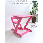 Комплект мебели Коняша
