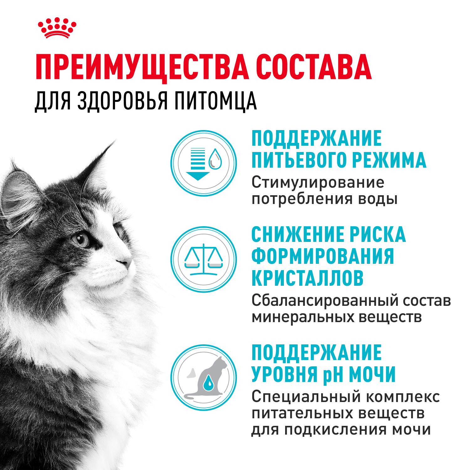Корм для кошек ROYAL CANIN Urinary Care 4кг для поддержания здоровья мочевыделительной системы - фото 3