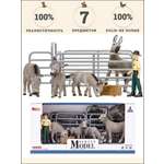 Игровой набор Masai Mara На ферме