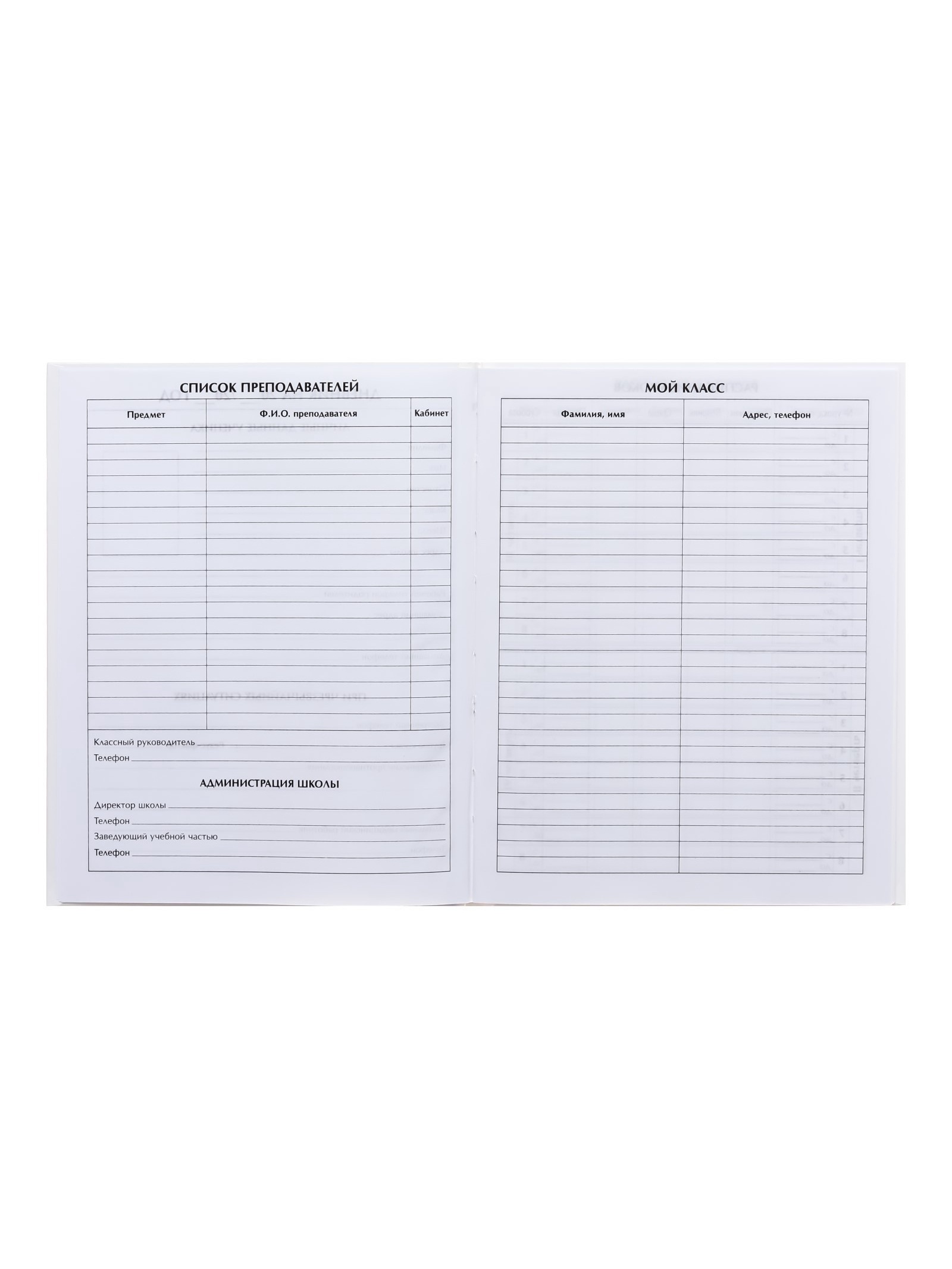 Дневник Calligrata школьный для 1-11 класса - фото 10