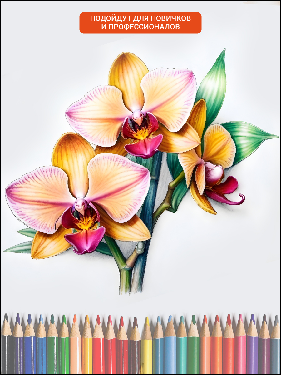 Карандаши цветные AXLER 60 шт. - фото 10