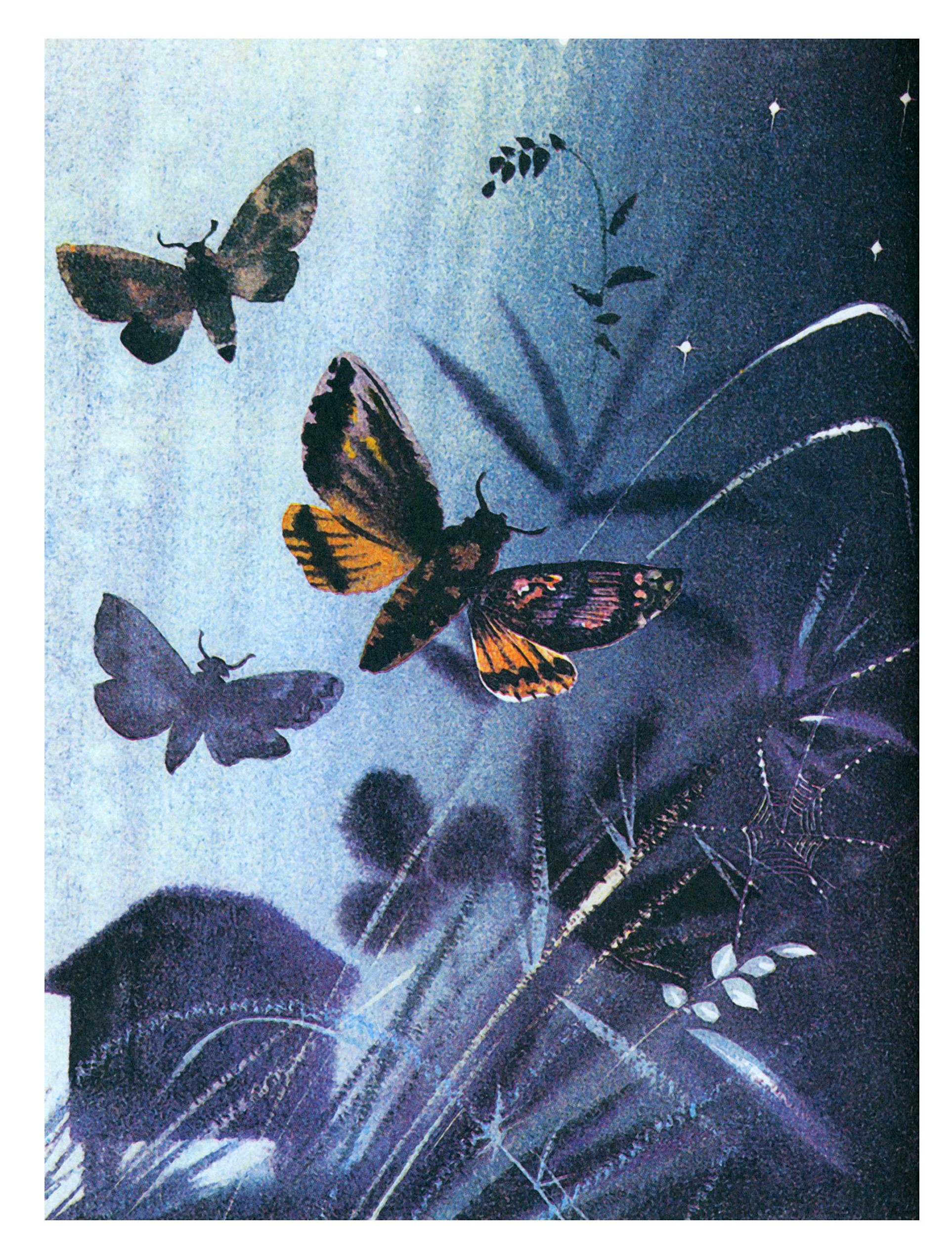 Книга ИД Мещерякова Зимняя девочка - фото 6