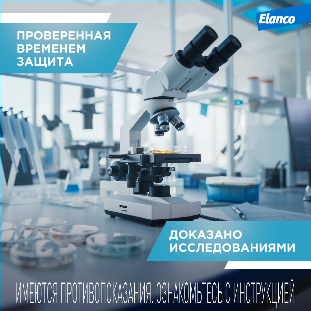 Препарат инсектоакарицидный для собак Elanco Килтикс ошейник 48см - фото 7