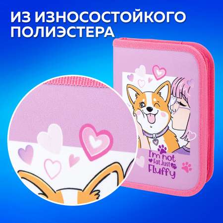 Пенал книжка Пифагор