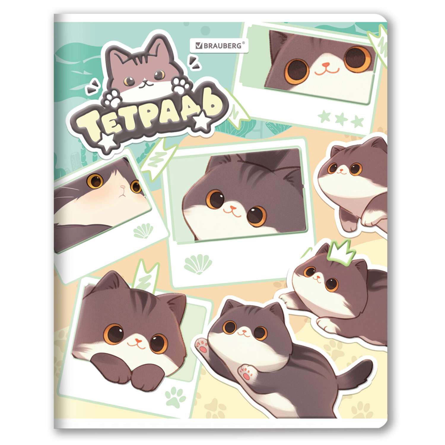 Тетрадь Brauberg клетка 48 лист. в ассортименте - фото 5