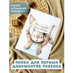Папка-органайзер Miaworkstudio А4