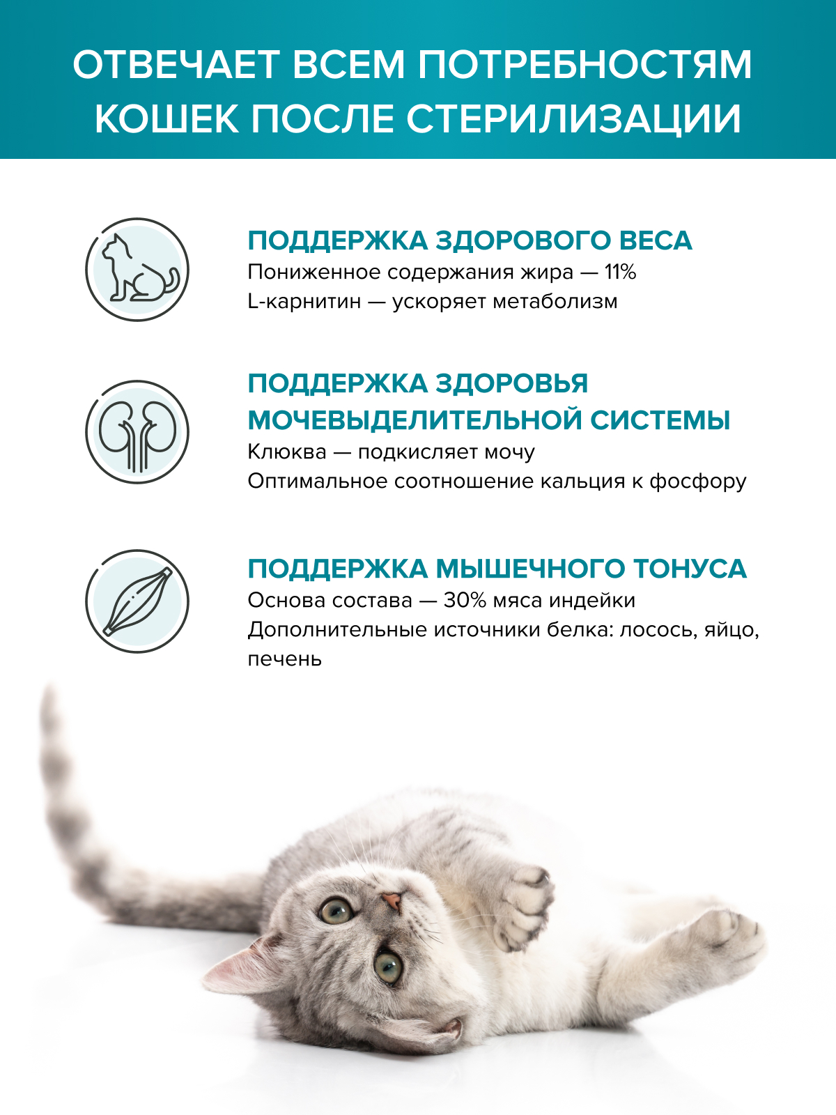 Корм для кошек DOCTRINE сухой для стерилизованных и кастрированных котов с индейкой и лососем 10 кг - фото 2