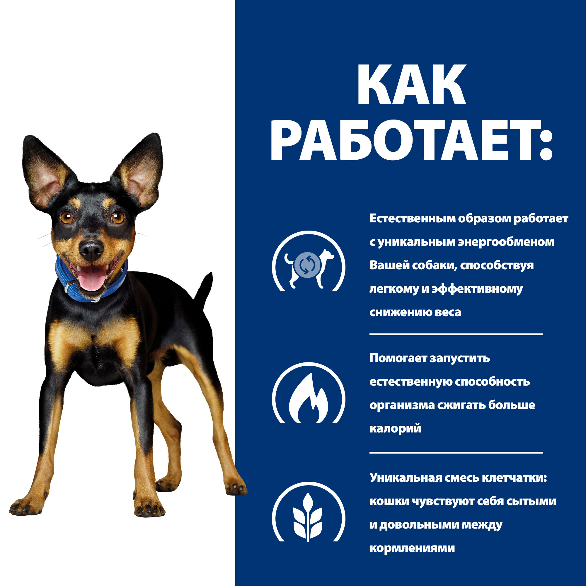 Корм для собак Hills 1кг Prescription Diet Metabolic Mini мелких пород диетический способствует снижению и контролю веса с курицей - фото 3