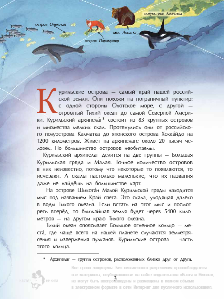 Книга для детей Настя и Никита развитие детей - фото 4
