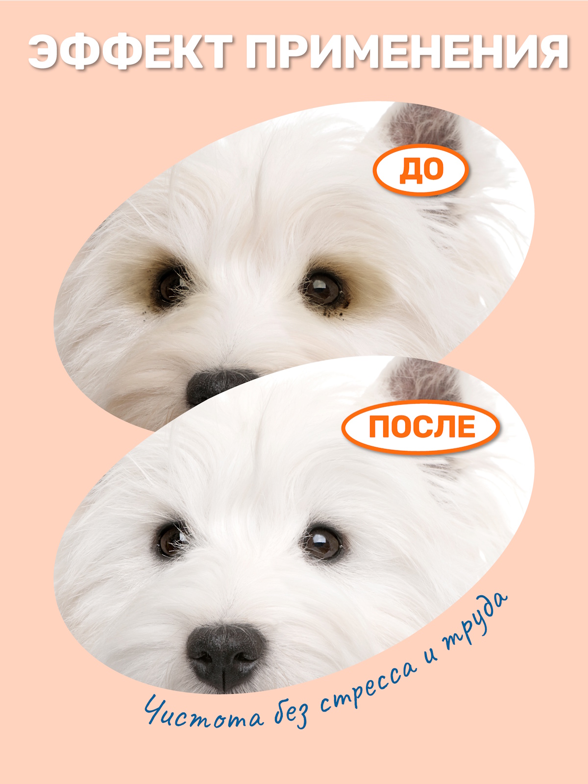 Влажные салфетки ZOORIK для глаз собак и кошек 100 шт - фото 2