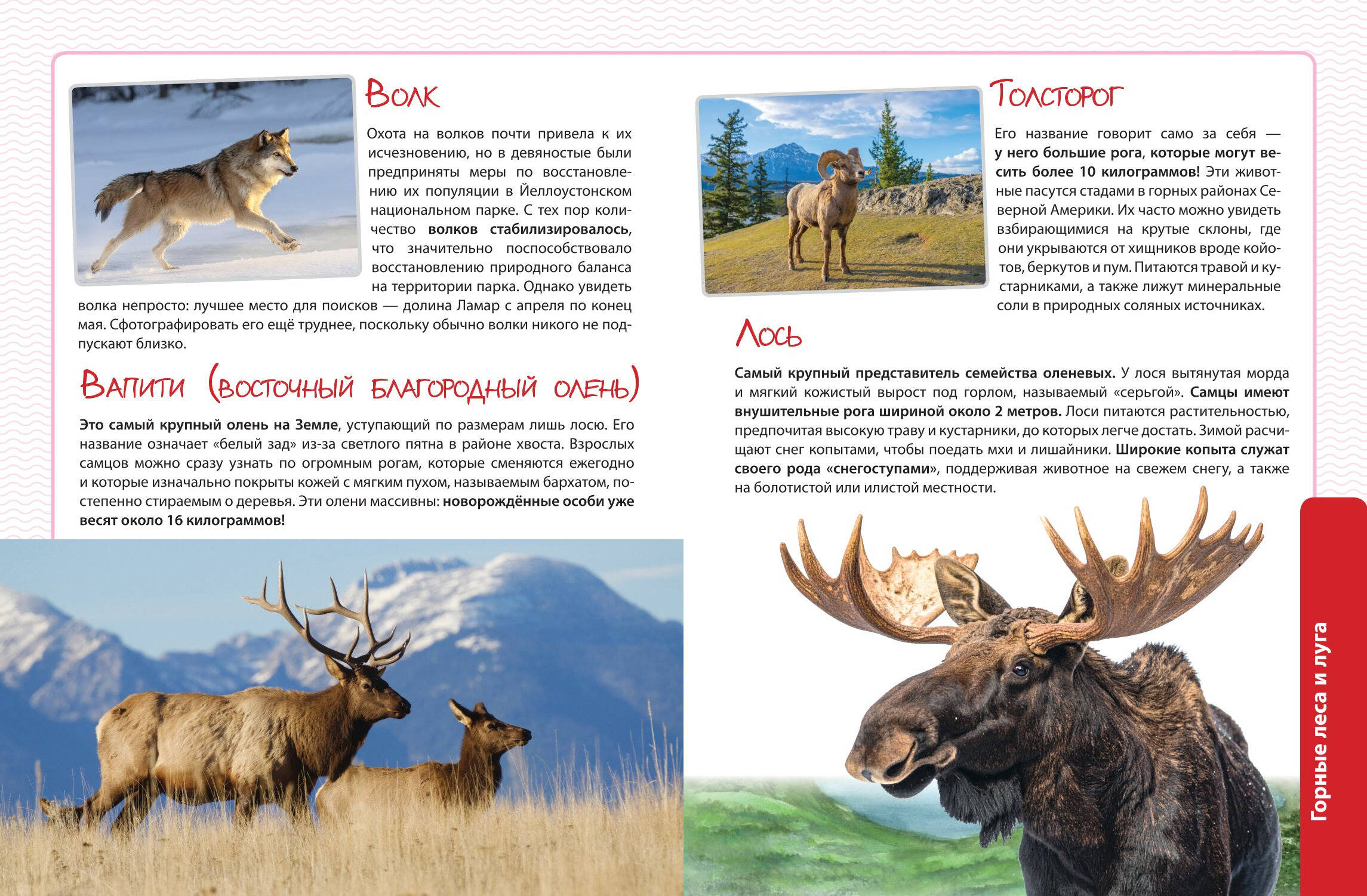Книга Эксмо Животные Большая экспедиция вокруг света - фото 5