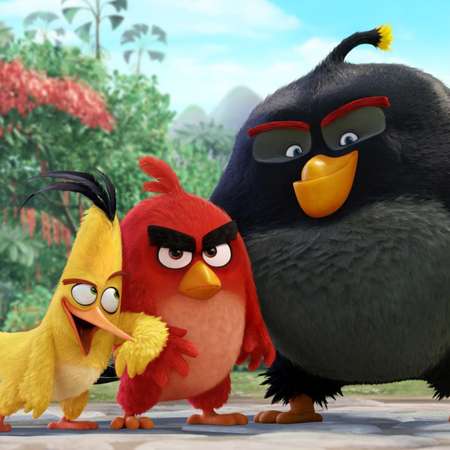 Мяч 1TOY 14-15 см Angry Birds