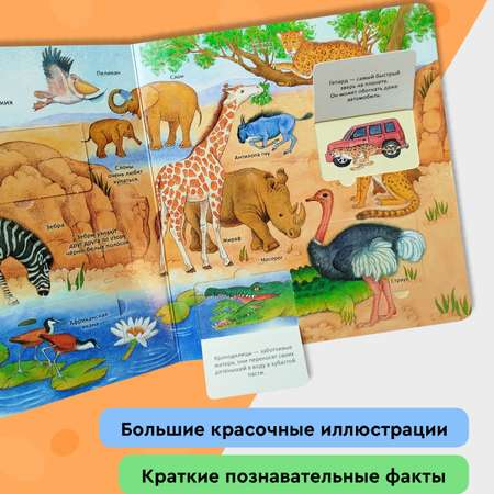 Книга Росмэн Удивительные животные Энциклопедия с окошками