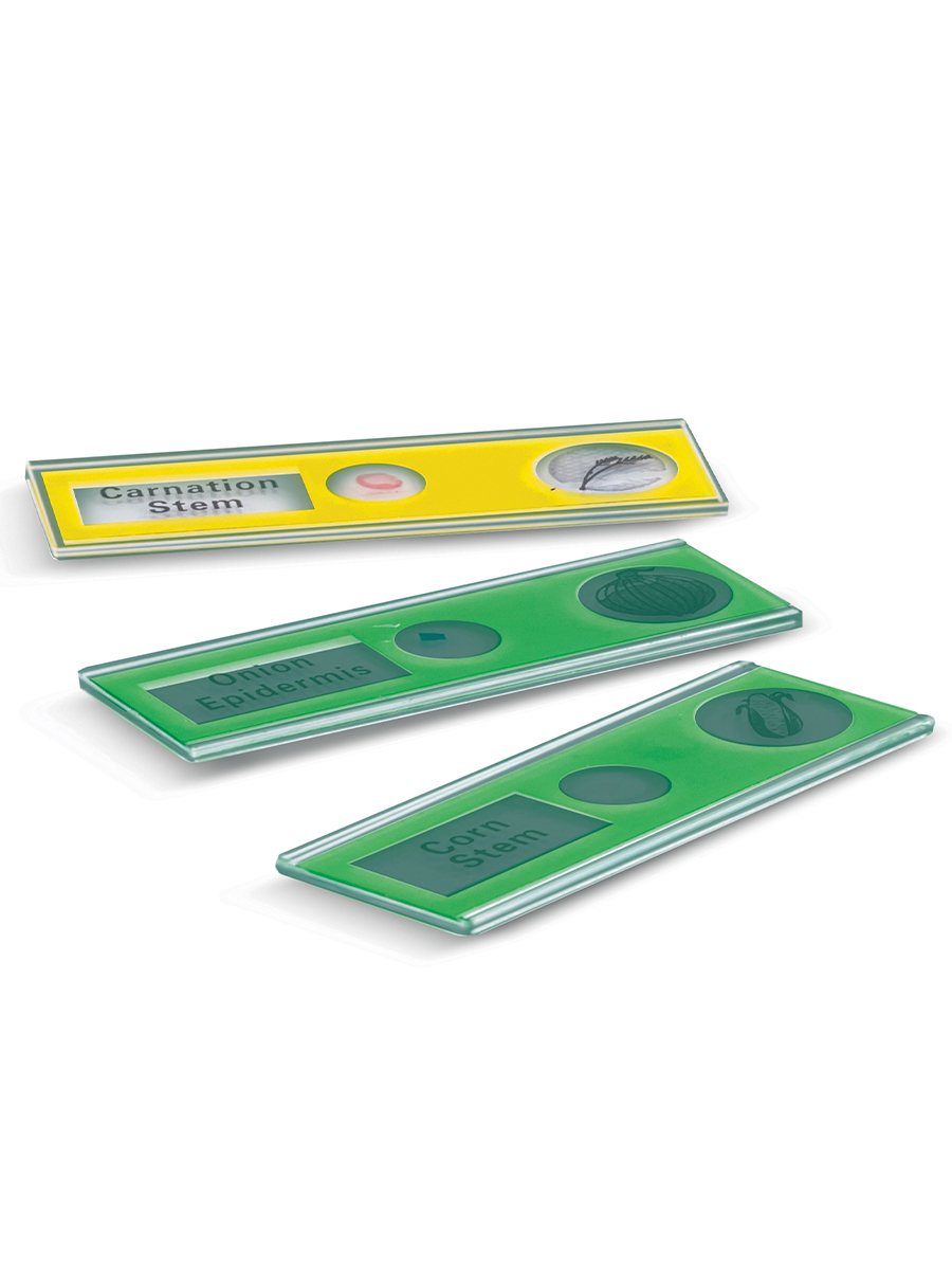 Микроскоп Hape - фото 9