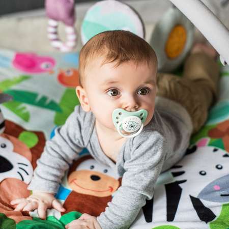 Пустышка Babyono ортодонтическая от 0 мес. 2 шт.