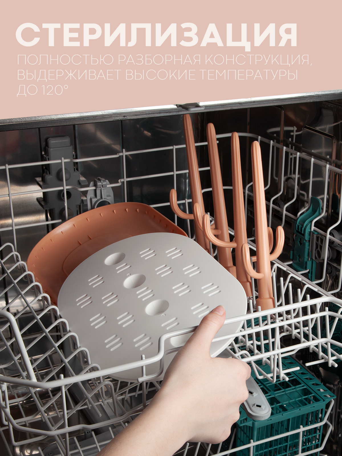 Сушилка для бутылочек КАРТОФАН - фото 5