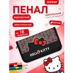 Пенал CENTRUM