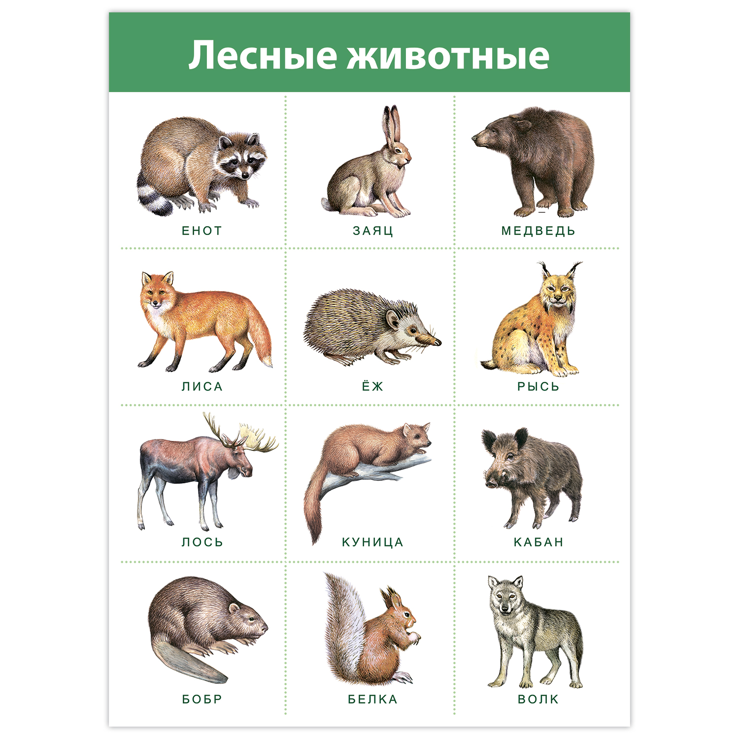 Настольная игра Дрофа-Медиа - фото 8
