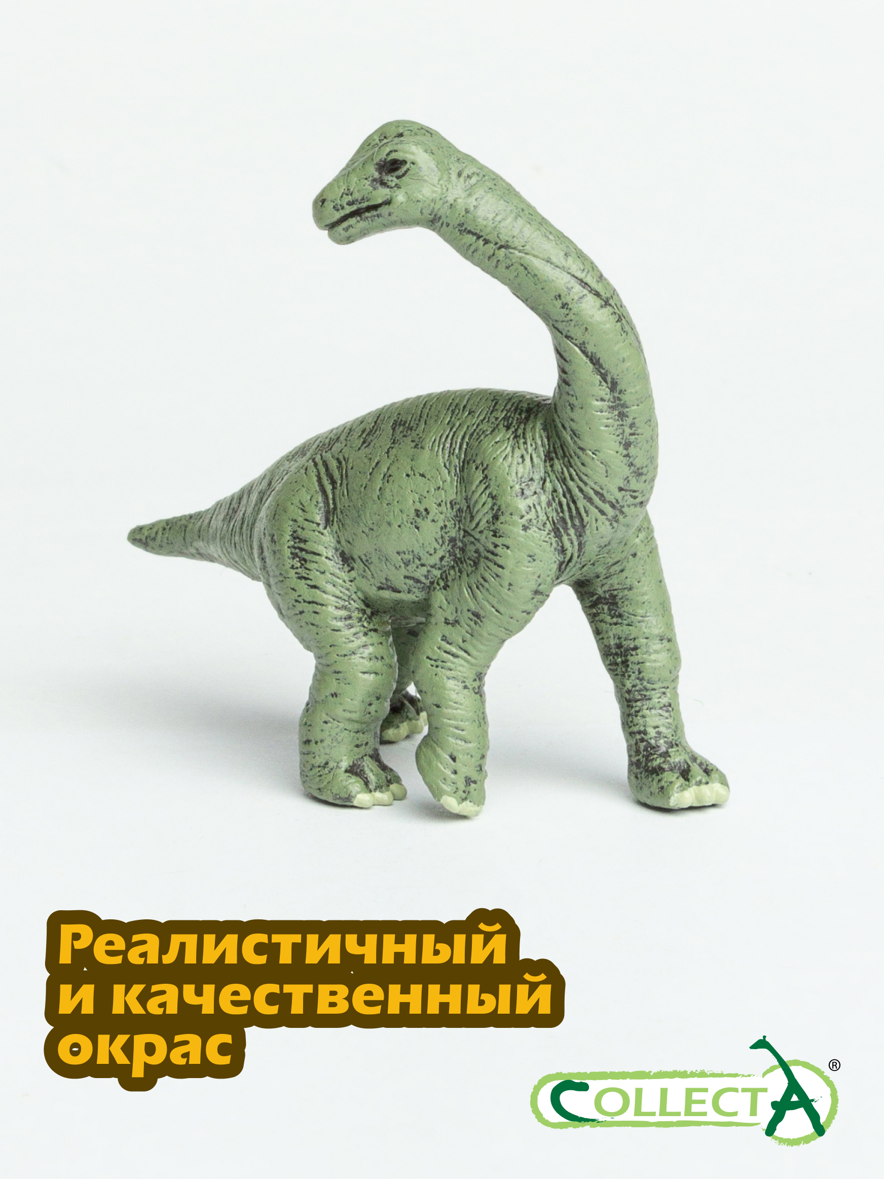 Фигурка Collecta Детёныш Брахиозавра - фото 4