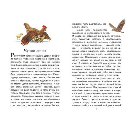 Книга Наше Отечество Рассказы и сказки иллюстрации Ярового