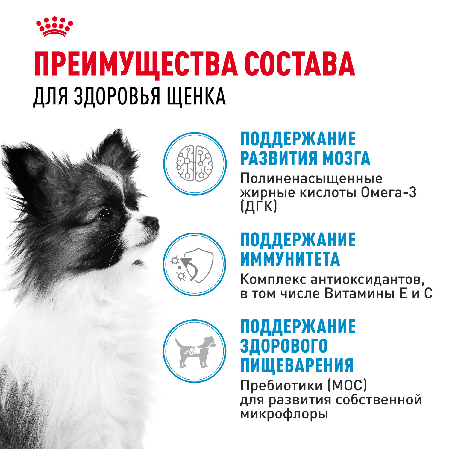 Корм для щенков ROYAL CANIN Junior миниатюрных пород 1.5кг - фото 3