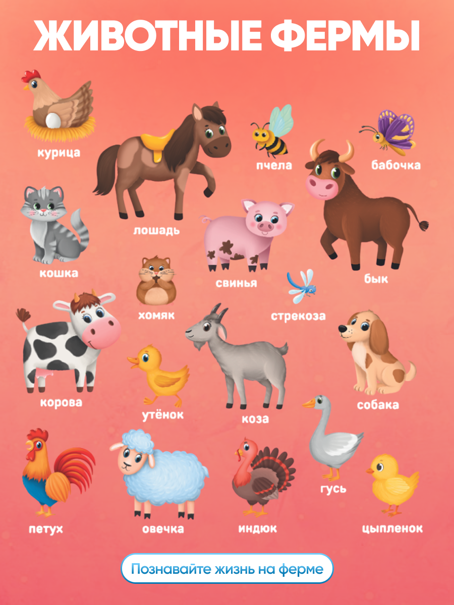 Настольная игра El BascoKids Животные фермы - фото 2