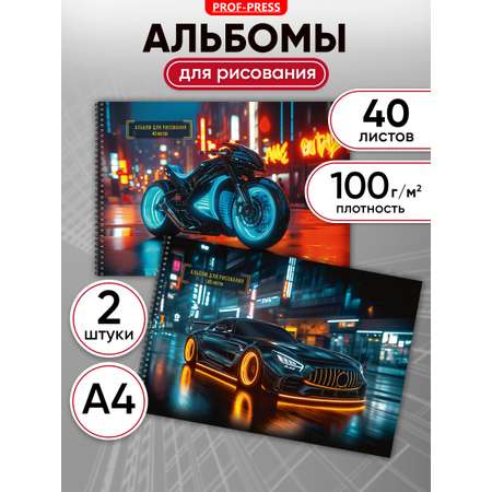 Альбом Prof-Press А4 40 лист. 2 шт.
