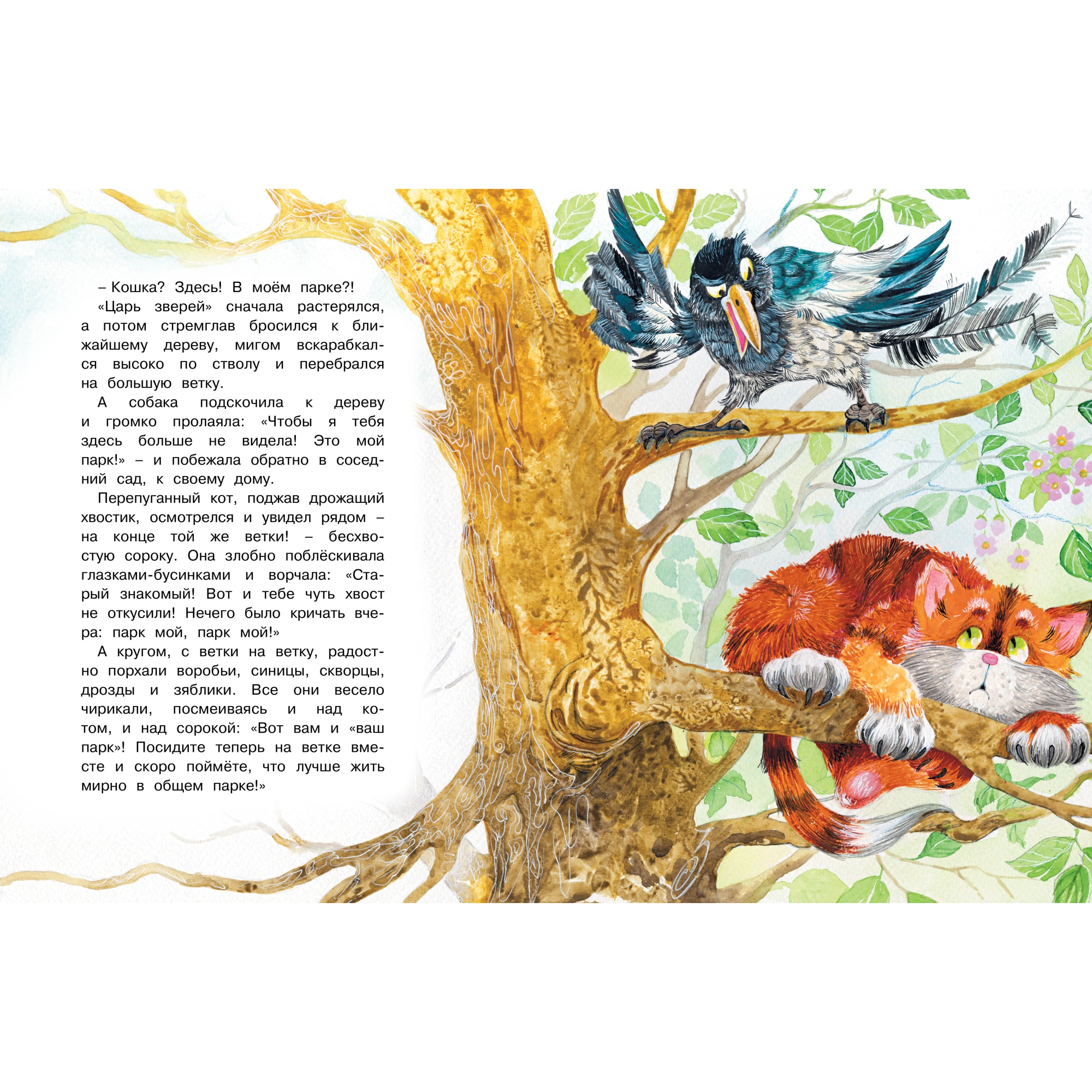 Книга МАХАОН Где ночует солнышко? Носов И. - фото 5