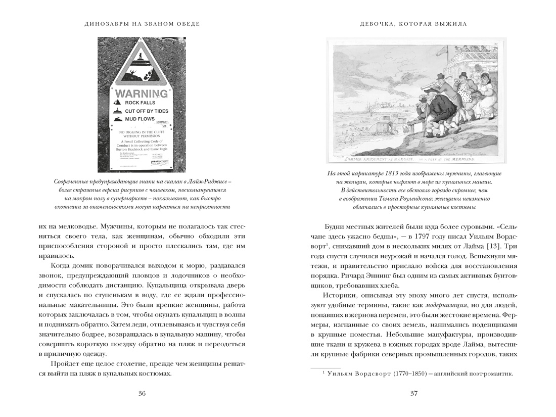 Книга КОЛИБРИ Динозавры на званом обеде Как человечество открыло дверь в затерянный мир - фото 12