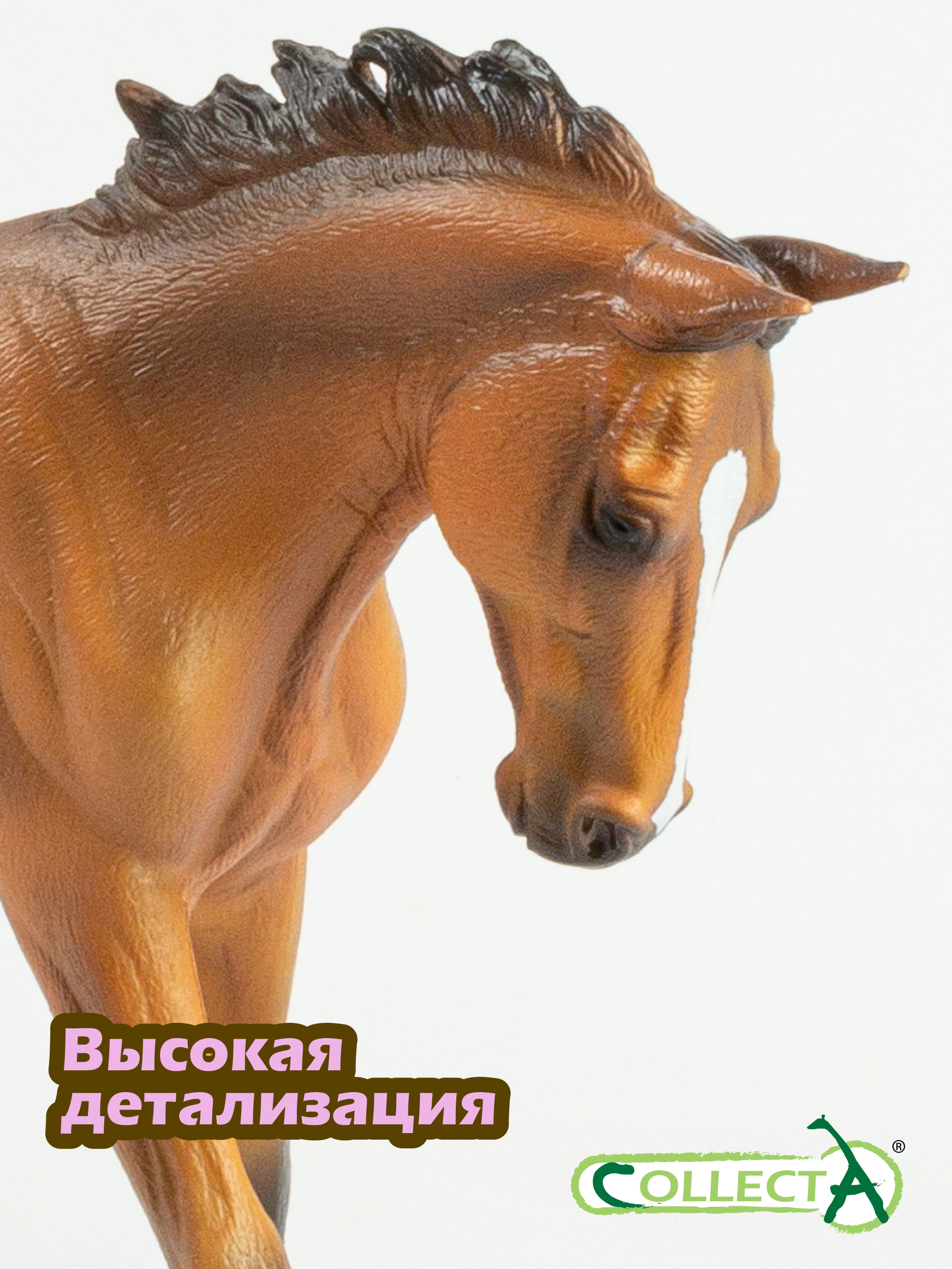 Фигурка Collecta Лошадь чистокровная гнедая - фото 4