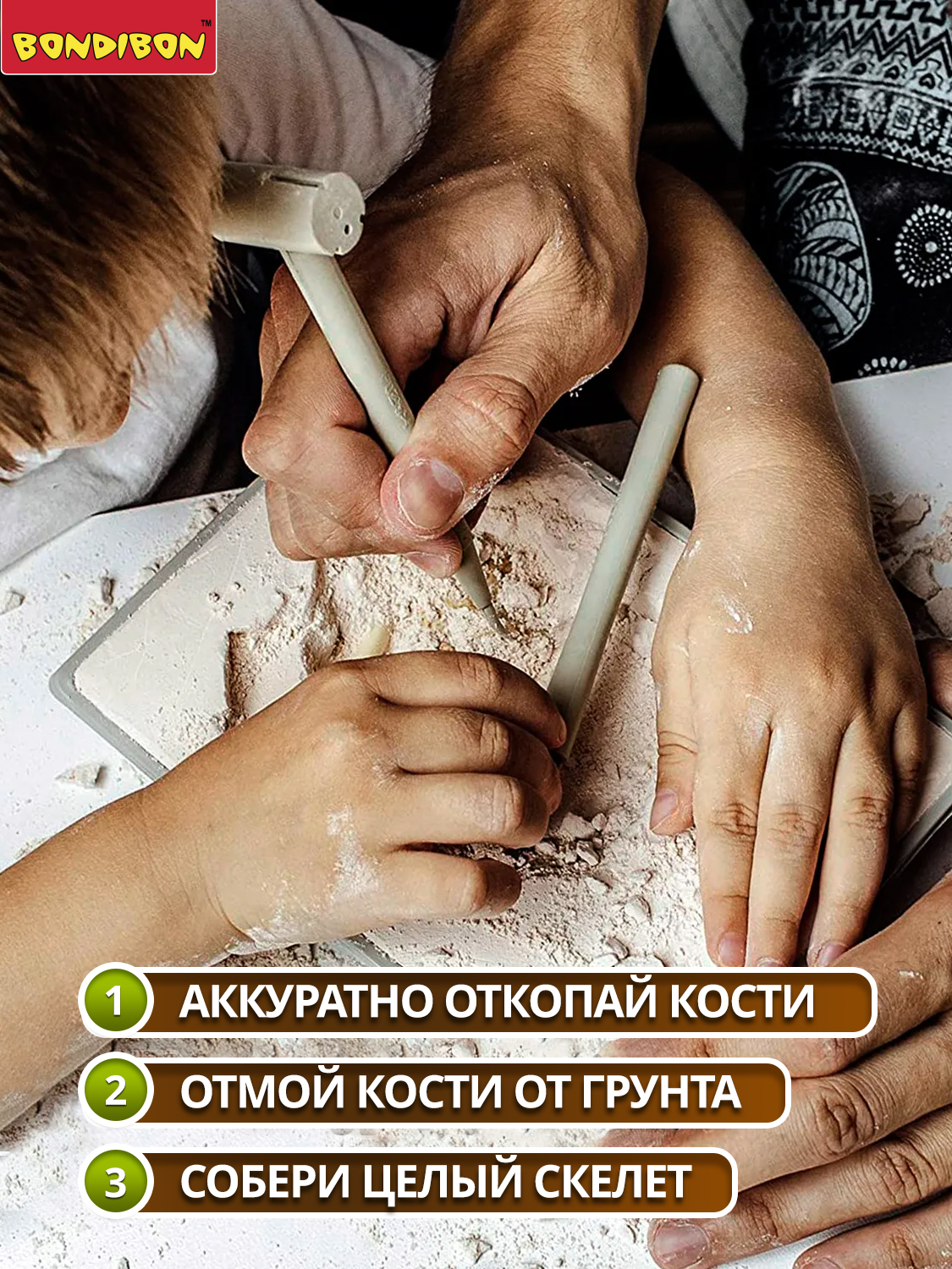 Набор для раскопок Bondibon Динозавр Велоцираптор скелет - фото 2