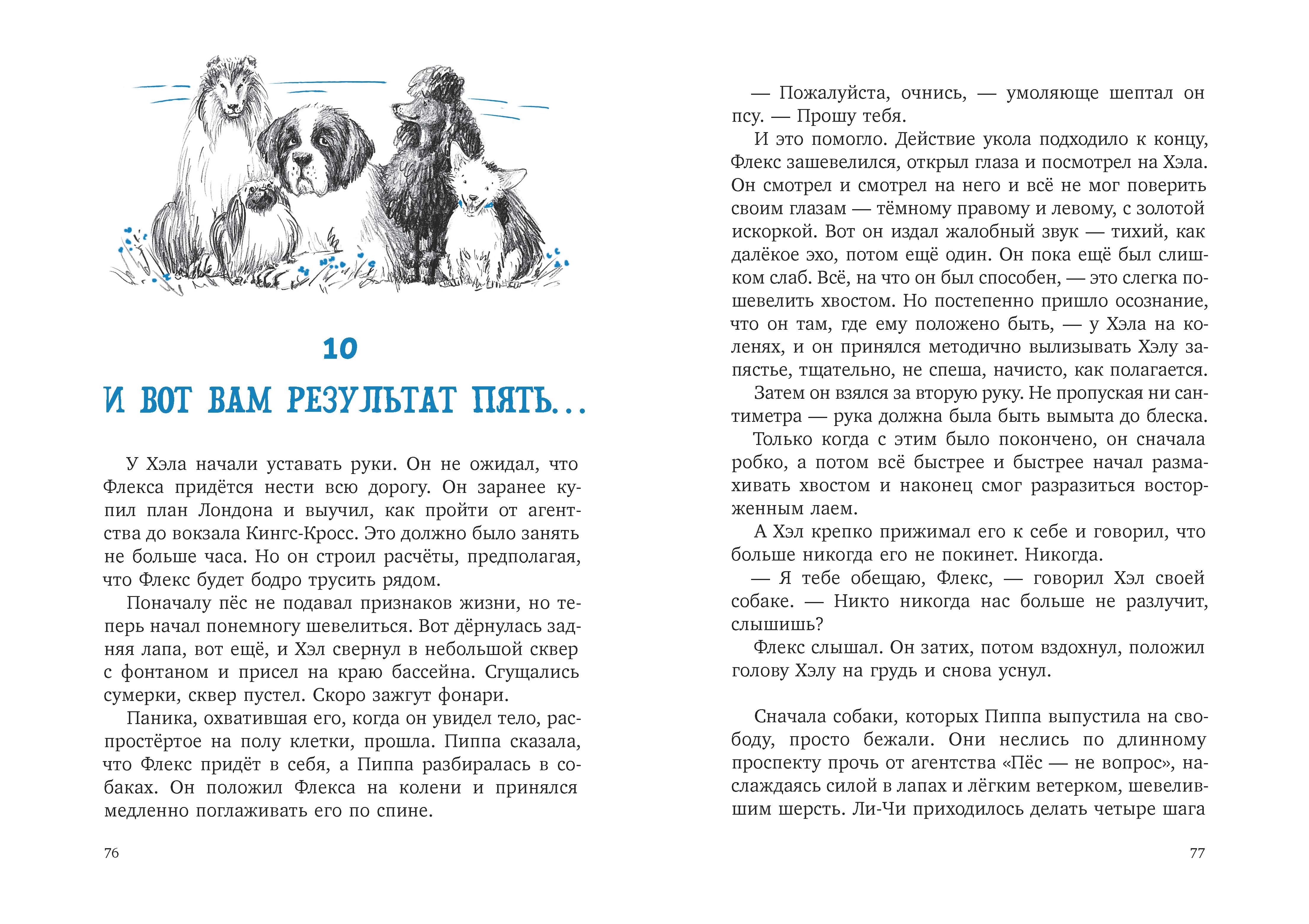 Книга Качели Собака и ее мальчик - фото 8