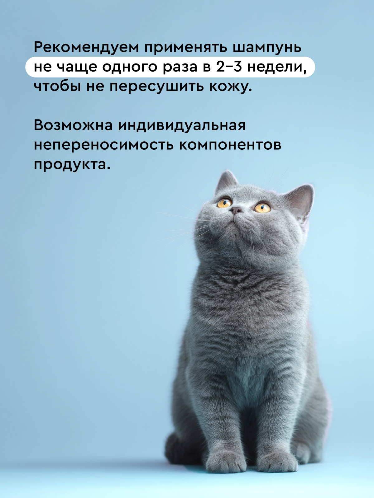 Шампунь для собак и кошек Pamilee с хлоргексидином антибактериальный против зуда и запаха - фото 6