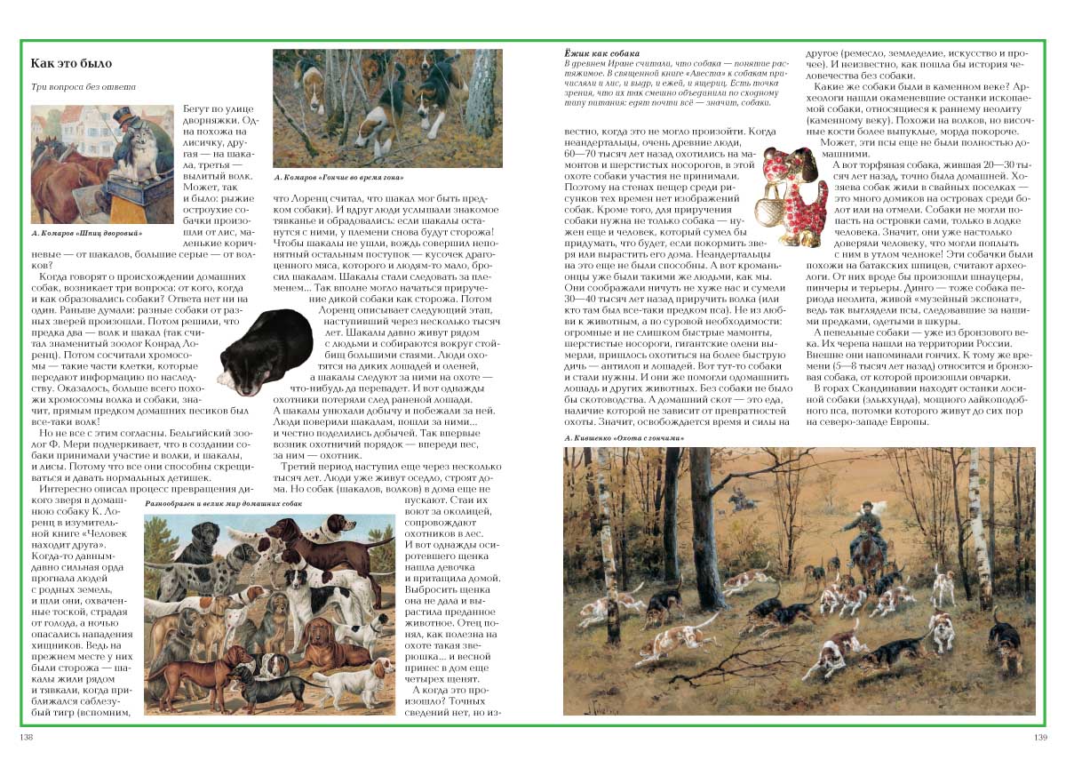 Книга Белый город Загадки животного мира - фото 9