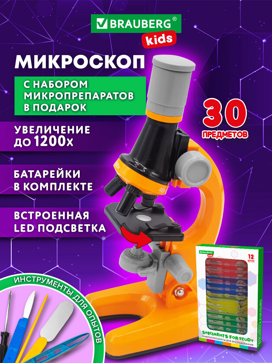 Микроскоп Brauberg - фото 1