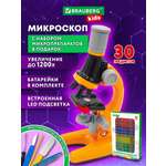 Микроскоп Brauberg