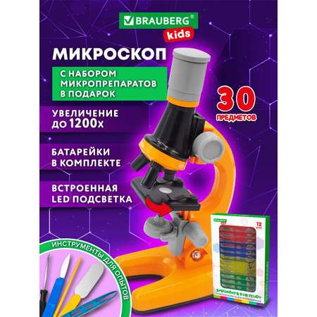 Микроскоп Brauberg