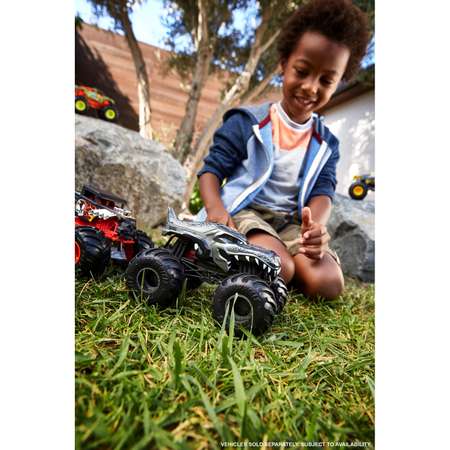 Автомобиль Hot Wheels Monster Tracks Мега Рекс