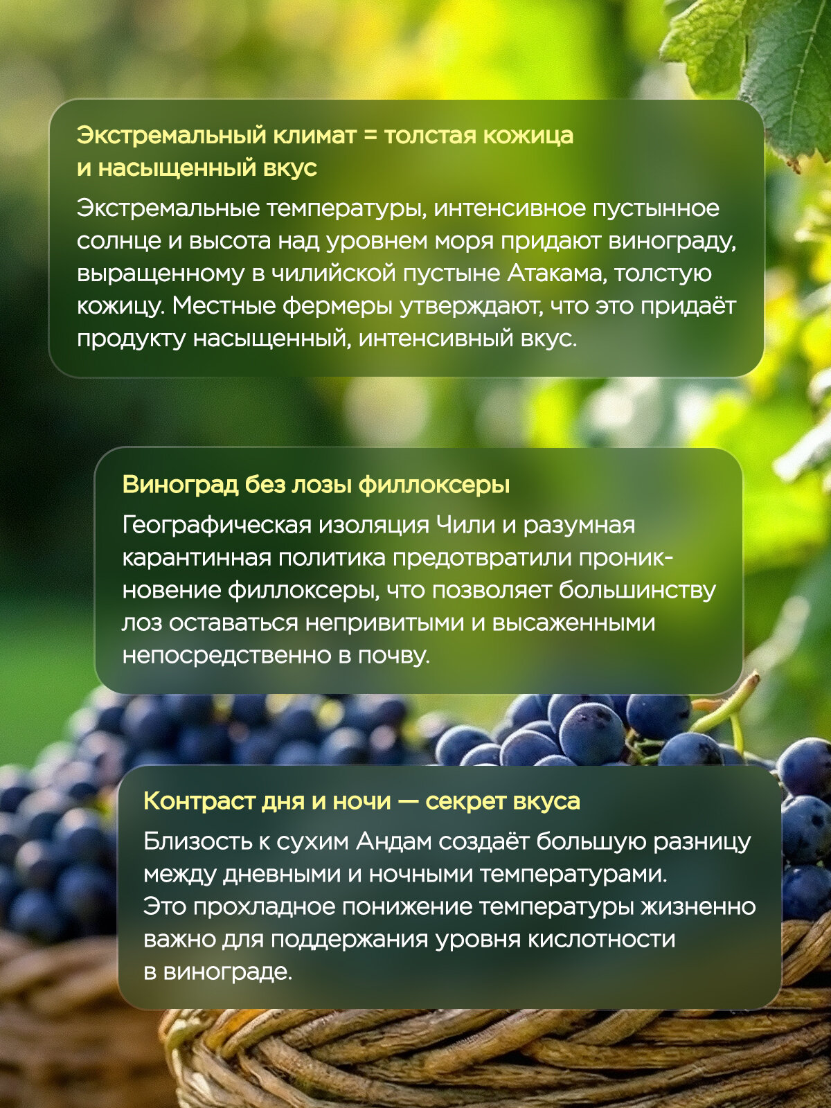 Изюм Narmak джамбо флейм 1000гр крупный без косточки - фото 7