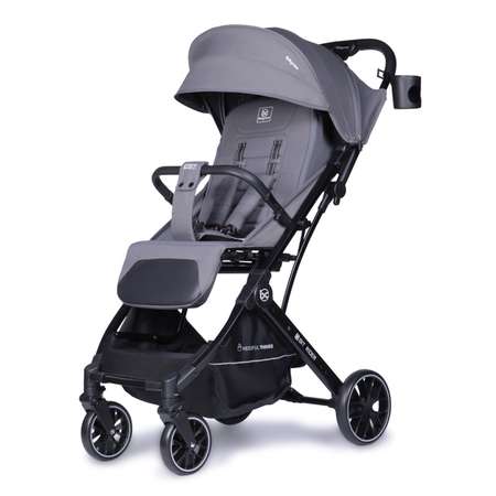 Коляска прогулочная BabyCare